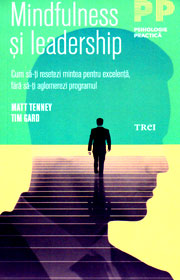 Mindfulness si leadership - Matt Tenney