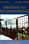 Dimensiuni ale excluderii sociale - Victor Badea