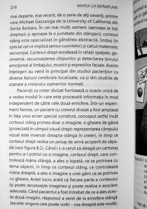 Mintea ca intamplare: cum ne-a oferit evolutia creierului iubirea, memoria, visele si pe Dumnezeu - David J. Linden