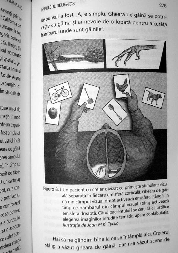 Mintea ca intamplare: cum ne-a oferit evolutia creierului iubirea, memoria, visele si pe Dumnezeu - David J. Linden