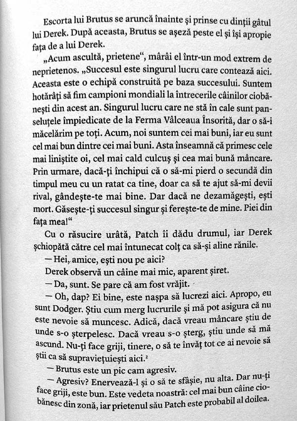 The way of the dog. Arta de a face succesul inevitabil - Geoff Burch