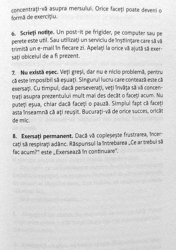 Mai mult cu mai putin - Leo Babauta
