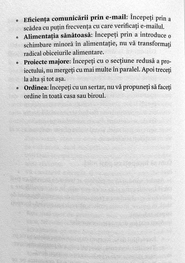 Mai mult cu mai putin - Leo Babauta