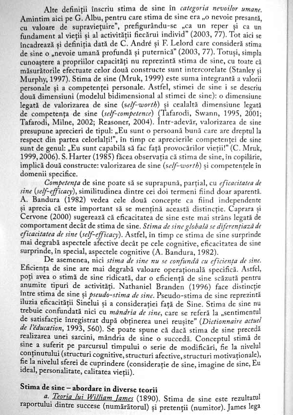 Activitatile de consiliere. Reusita si stima de sine in viata preadolescentilor - Daciana Angelica Lupu