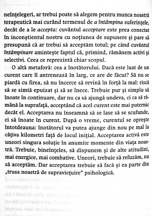 Seninatatea. 25 de povestiri despre echilibrul interior - Christophe Andre