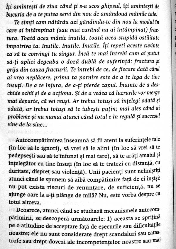 Seninatatea. 25 de povestiri despre echilibrul interior - Christophe Andre
