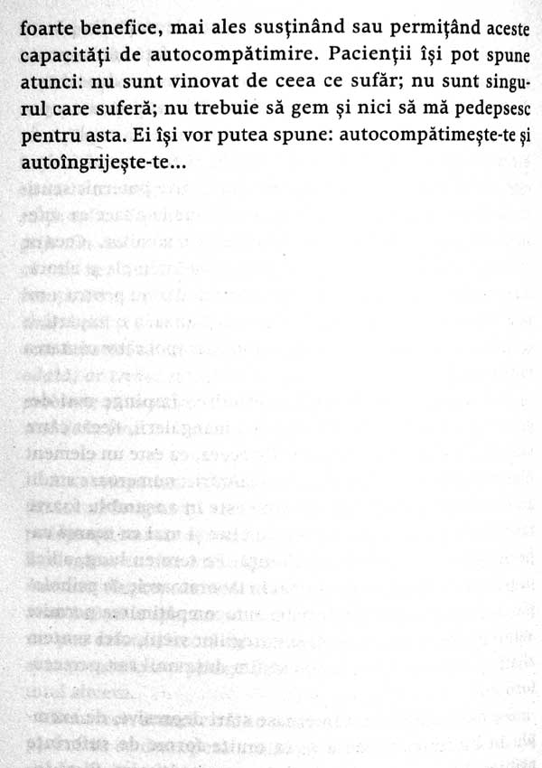 Seninatatea. 25 de povestiri despre echilibrul interior - Christophe Andre