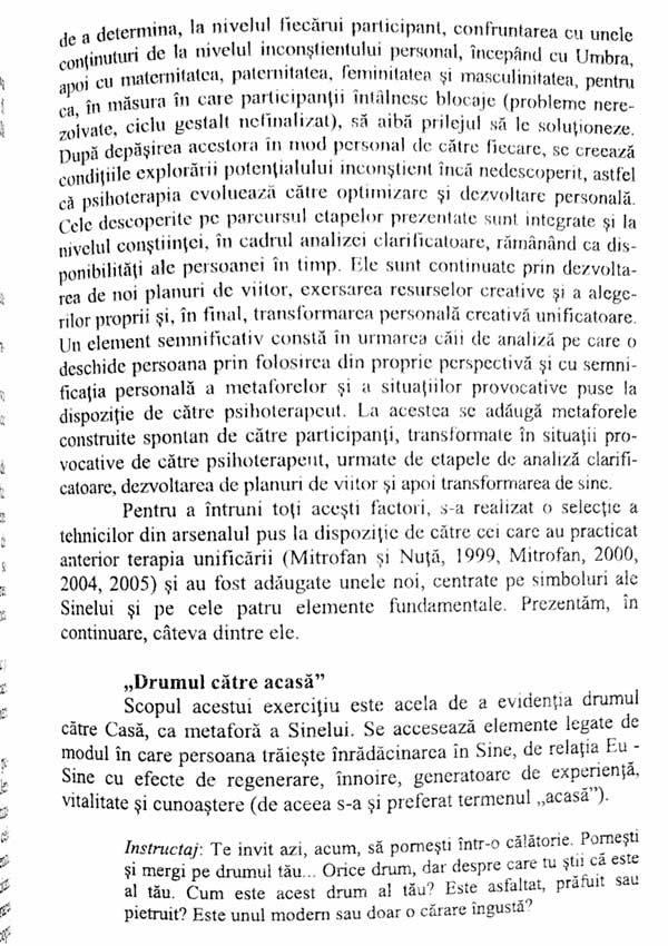 Dincolo de depresie. Abordare psihoterapeutica experientiala unificatoare - Nicoleta Raban-Motounu
