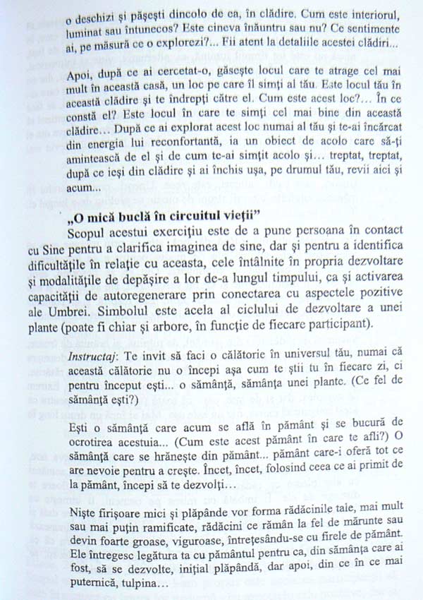 Dincolo de depresie. Abordare psihoterapeutica experientiala unificatoare - Nicoleta Raban-Motounu