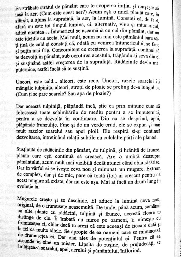 Dincolo de depresie. Abordare psihoterapeutica experientiala unificatoare - Nicoleta Raban-Motounu