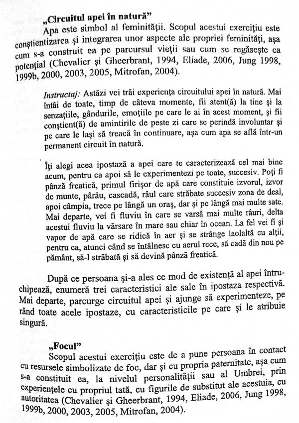 Dincolo de depresie. Abordare psihoterapeutica experientiala unificatoare - Nicoleta Raban-Motounu