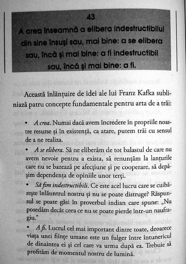 Kafka pentru deprimati - Allan Percy