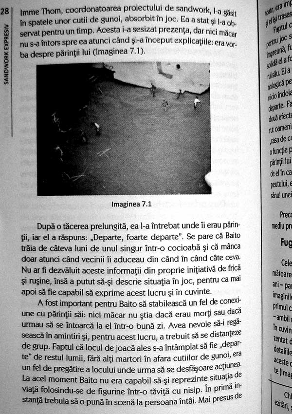 Sandwork expresiv. O abordare jungiana - Eva Pattis Zoja