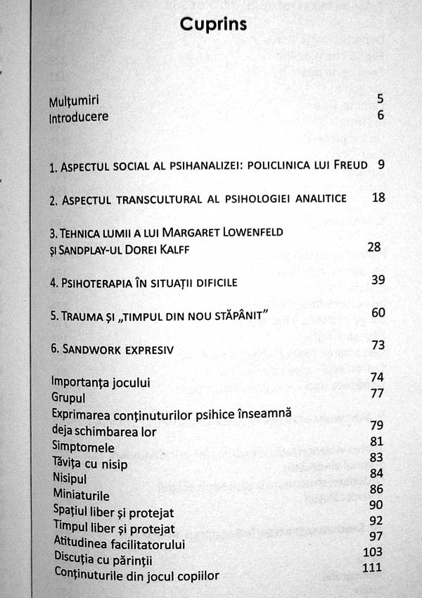 Sandwork expresiv. O abordare jungiana - Eva Pattis Zoja