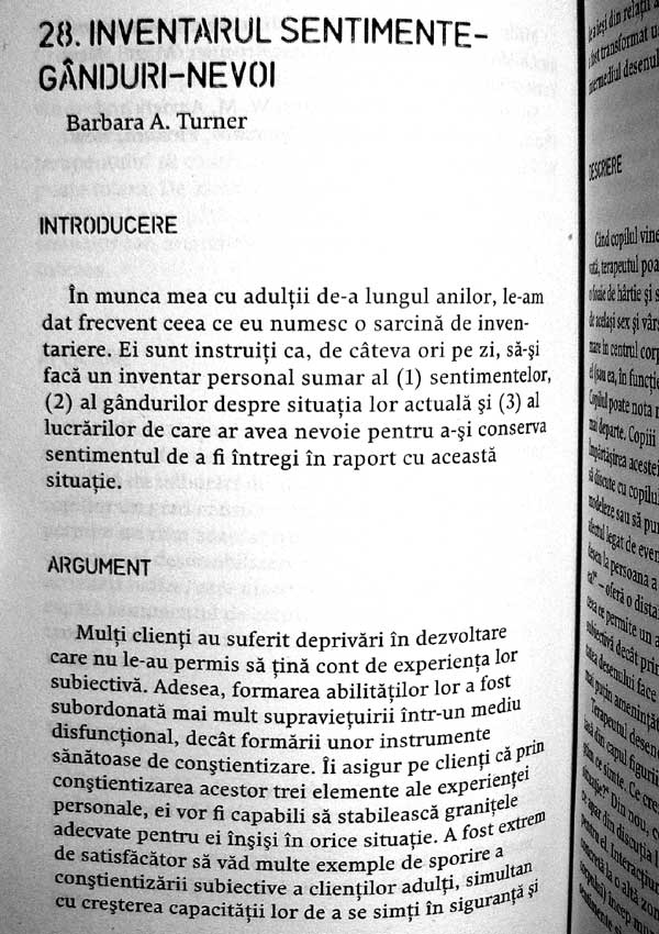 101 tehnici favorite ale terapiei prin joc - Heidi Gerard Kaduson