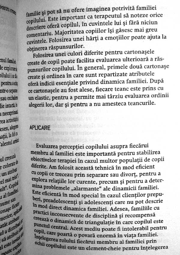 101 tehnici favorite ale terapiei prin joc - Heidi Gerard Kaduson
