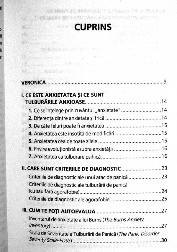 Ajuta-te singur in caz de atac de panica - Radu Vrasti