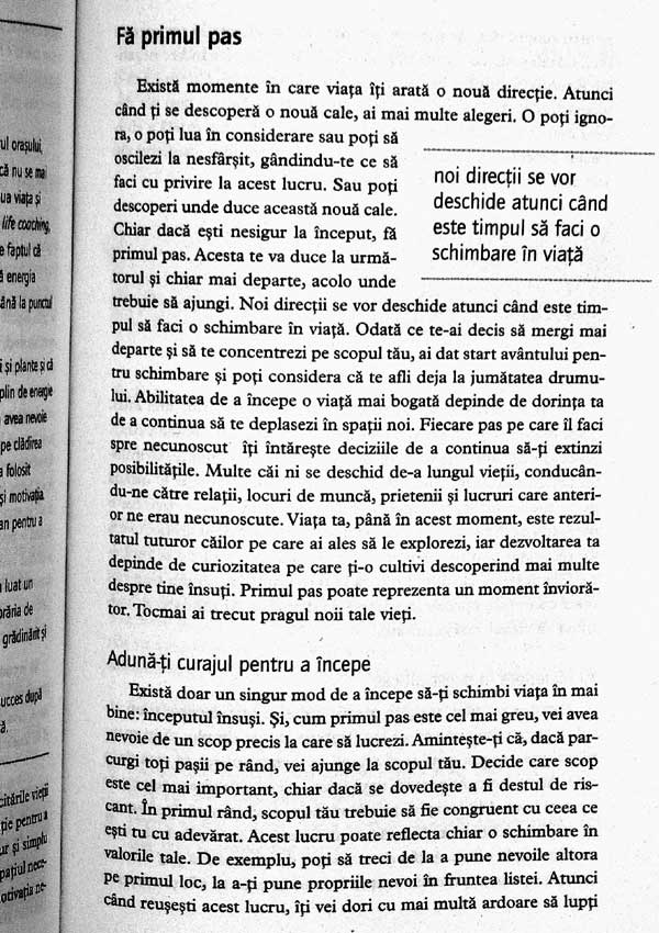 Life Coaching. 10 pasi esentiali pentru a-ti transforma viata - Annie Lionnet