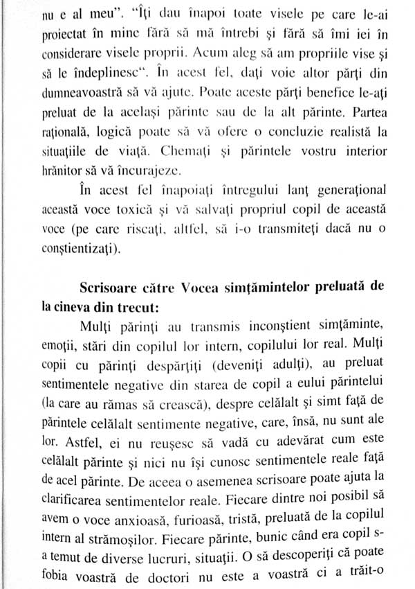 Vorbe fara glas. Cum facem fata pierderilor, separarilor, doliilor din viata noastra - Cristiana Alexandra Levitchi