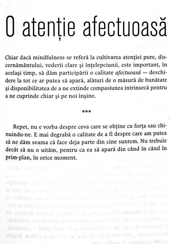 Mindfulness pentru incepatori - Jon Kabat-Zinn