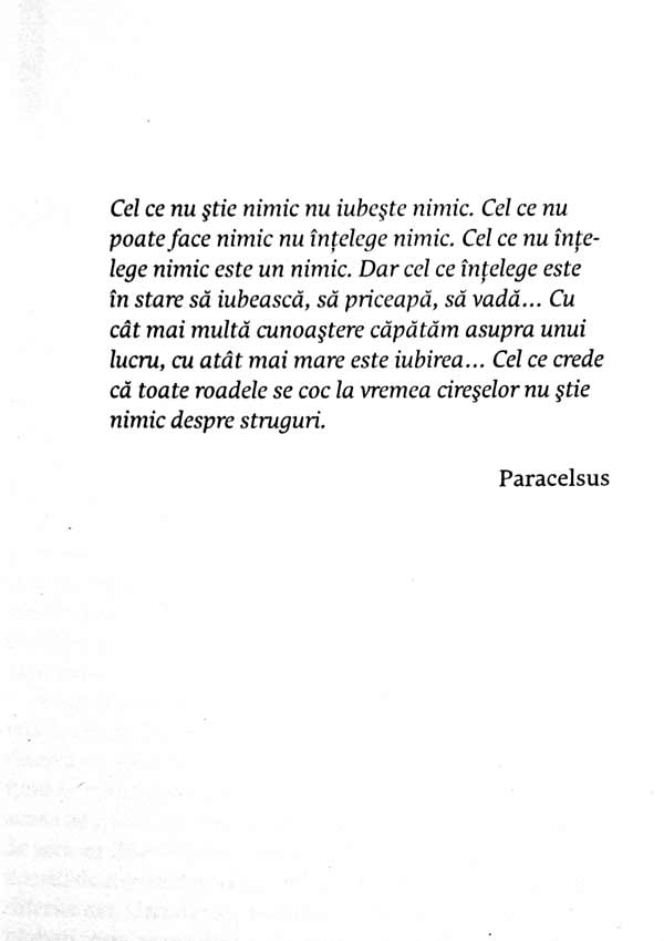 Arta de a iubi - Erich Fromm