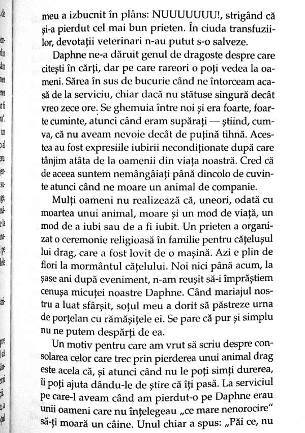 Cuvinte care vindeca. Ce poti spune cand nu stii ce sa spui - Nance Guilmartin