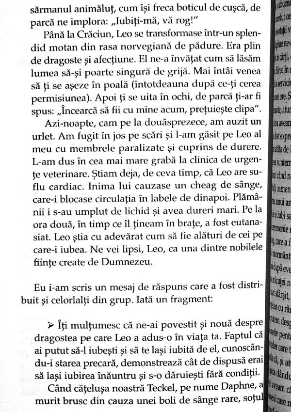 Cuvinte care vindeca. Ce poti spune cand nu stii ce sa spui - Nance Guilmartin