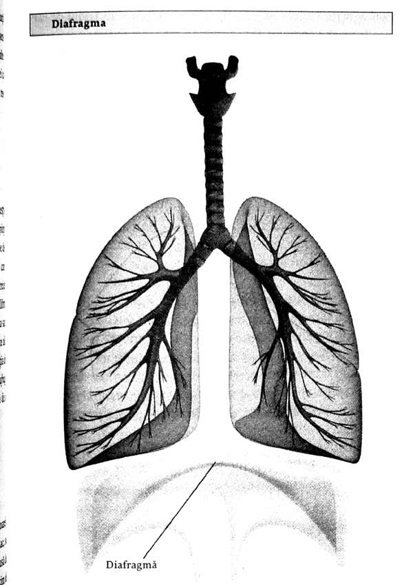Cum sa-ti controlezi anxietatea. Ia tot ce e mai bun din griji, stres si temeri - Bret A. Moore