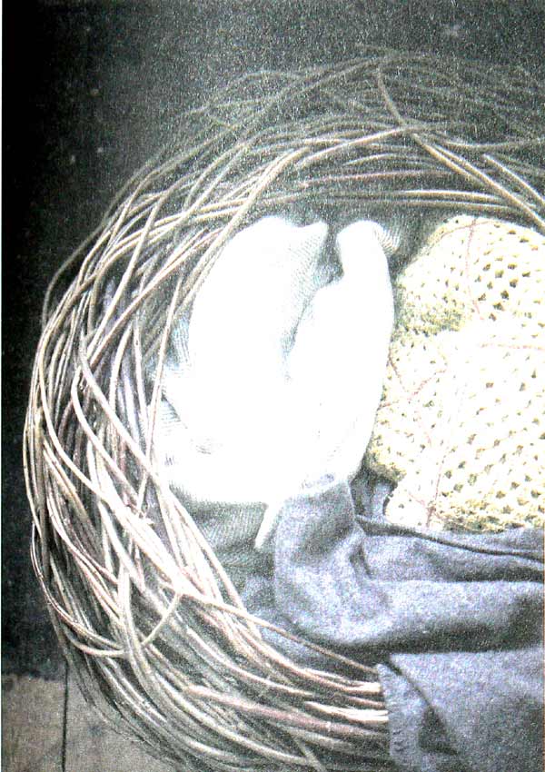 Cartea despre HYGGE. Arta daneza de a trai bine - Louisa Thomsen Brits