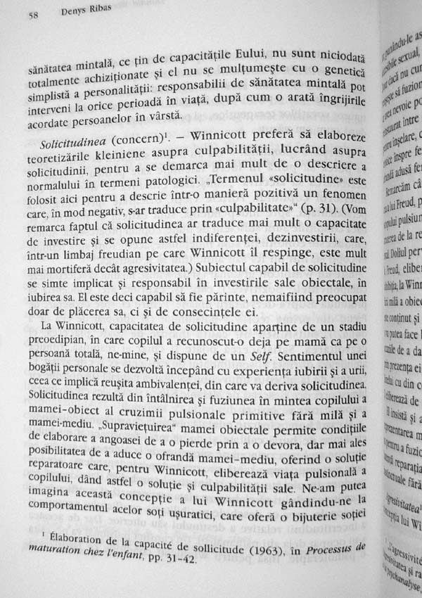 Donald Woods Winnicott - Denys Ribas