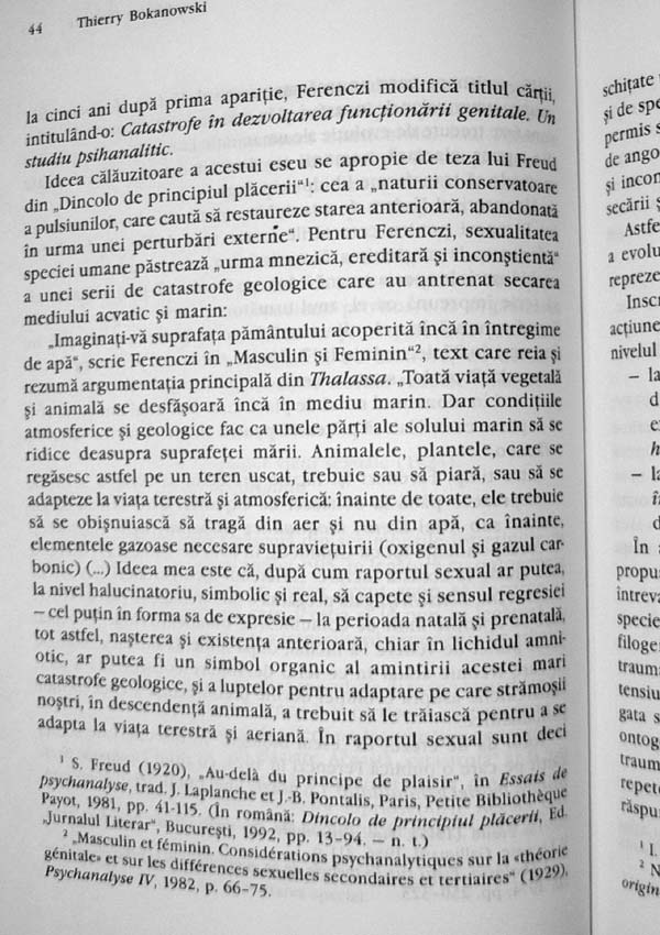 Donald Woods Winnicott - Denys Ribas