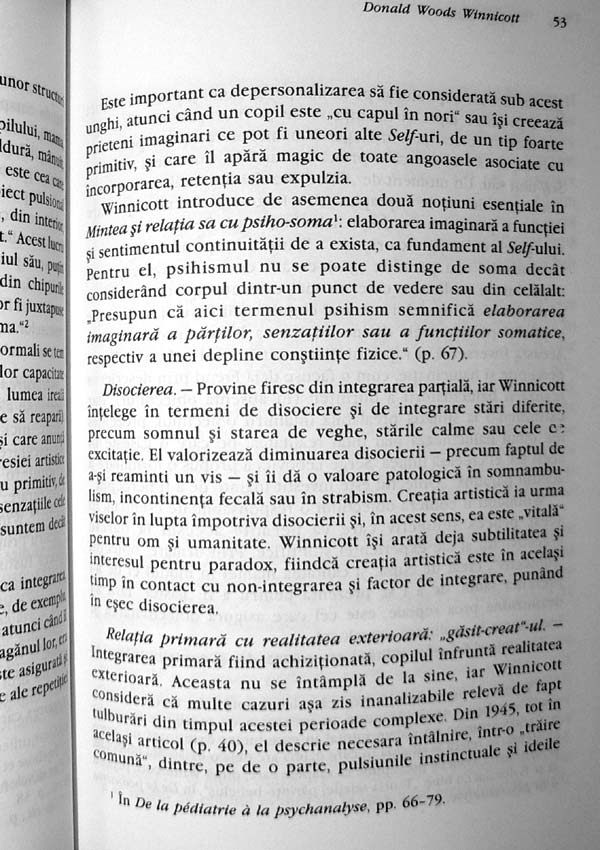 Donald Woods Winnicott - Denys Ribas
