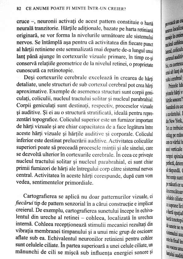 Sinele. Construirea creierului constient - Antonio Damasio