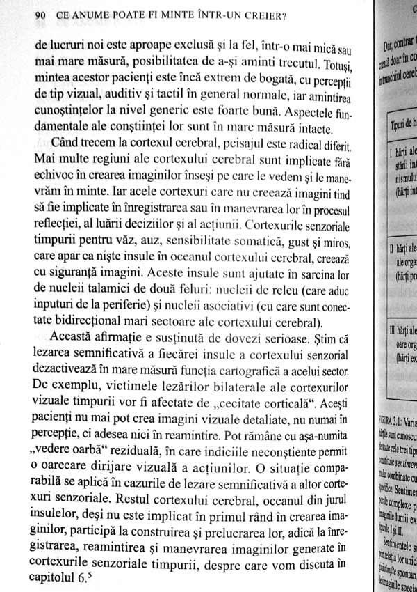 Sinele. Construirea creierului constient - Antonio Damasio