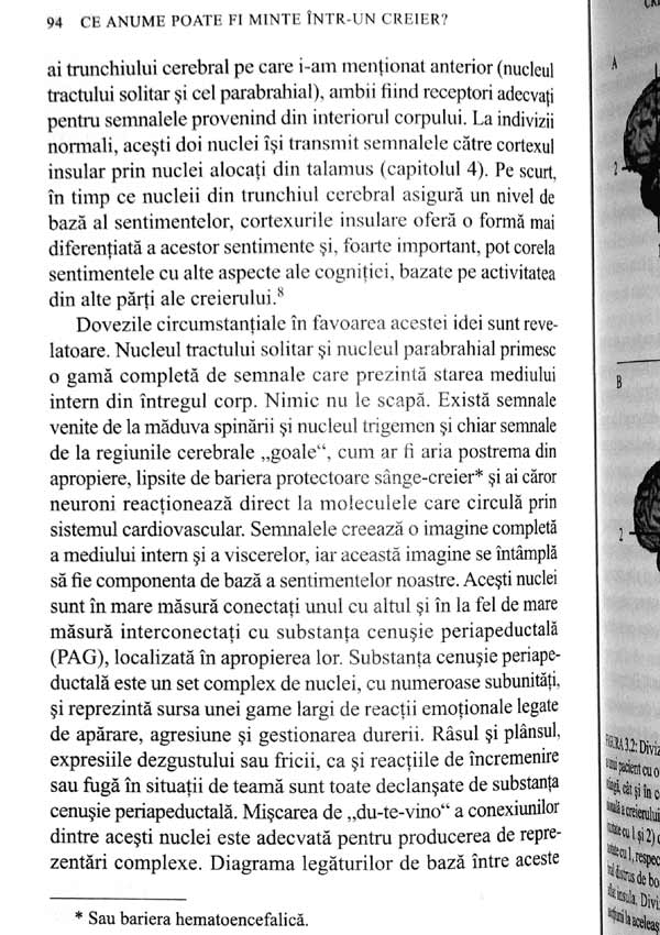 Sinele. Construirea creierului constient - Antonio Damasio