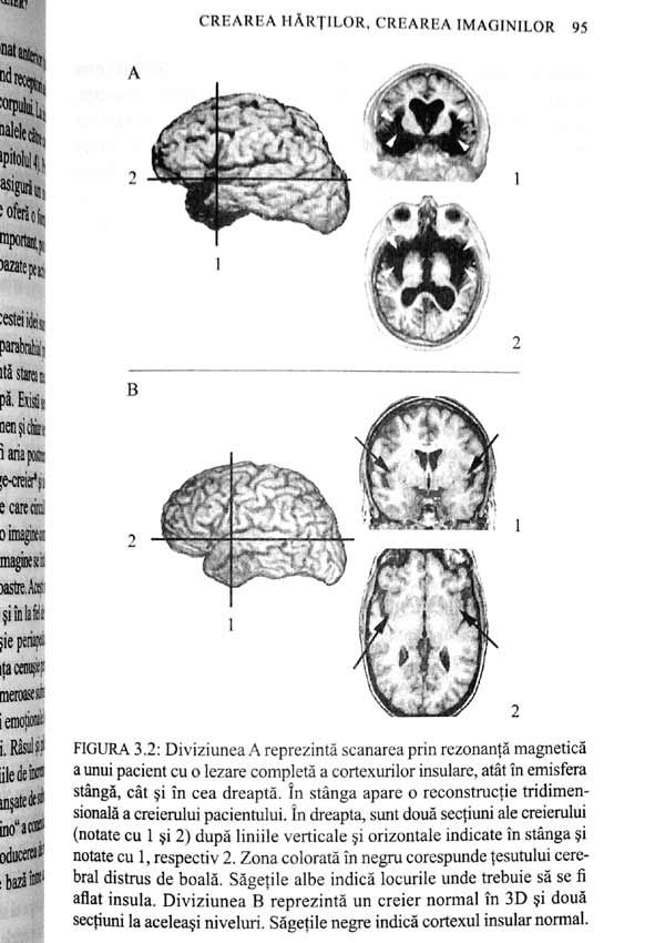 Sinele. Construirea creierului constient - Antonio Damasio