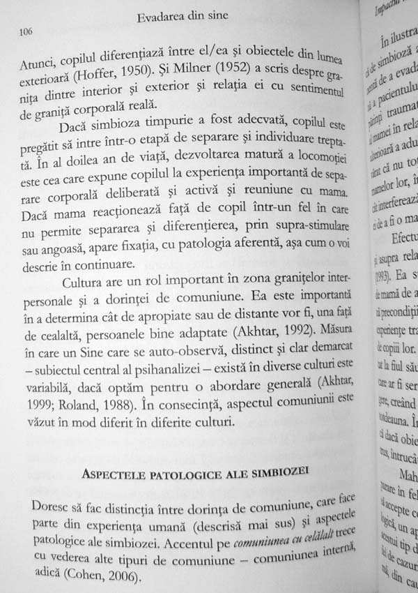 Evadarea din sine. Incalcarea granitelor si dorinta de comuniune - Ilany Kogan