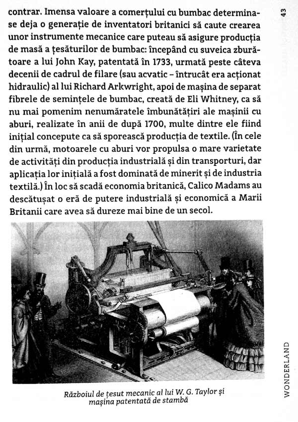 Wonderland. Cum a creat jocul lumea moderna - Steven Johnson