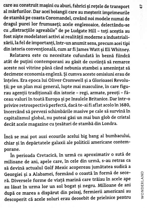 Wonderland. Cum a creat jocul lumea moderna - Steven Johnson