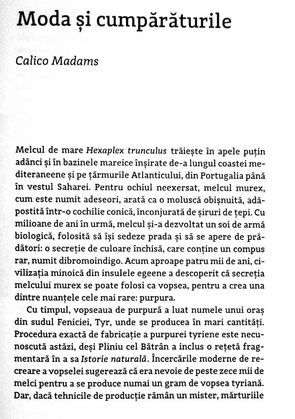 Wonderland. Cum a creat jocul lumea moderna - Steven Johnson