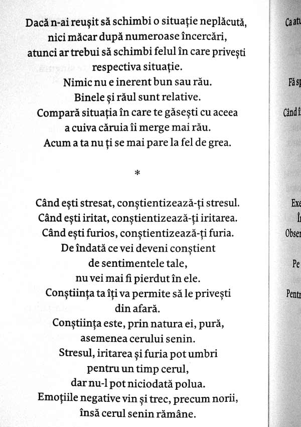 Opreste-te putin si priveste in jur - Haemin Sunim