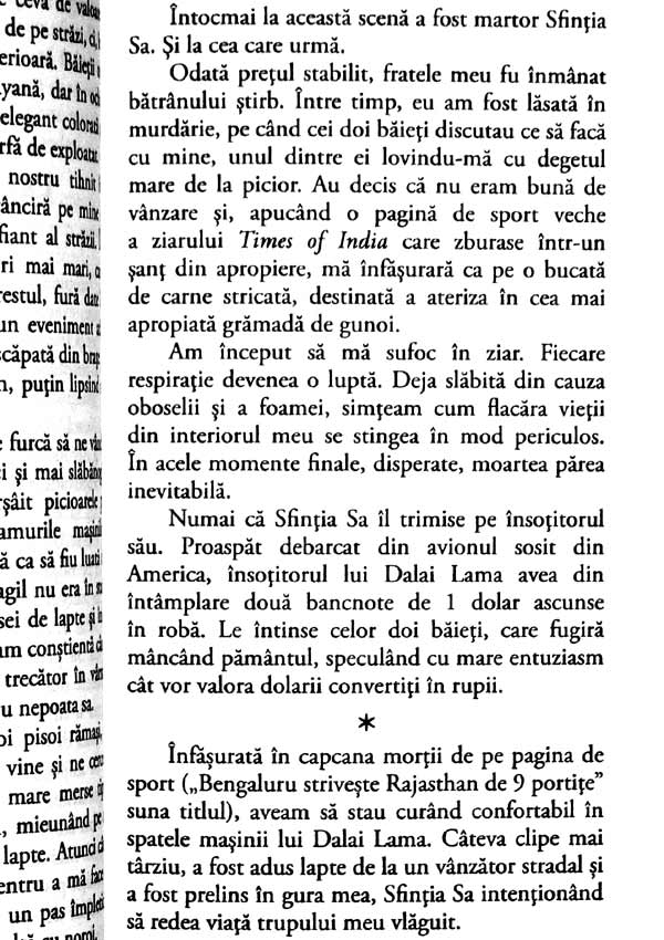 Pisica lui Dalai Lama - David Michie