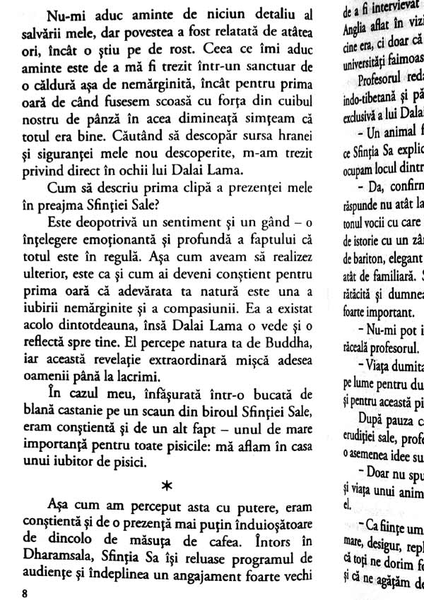 Pisica lui Dalai Lama - David Michie