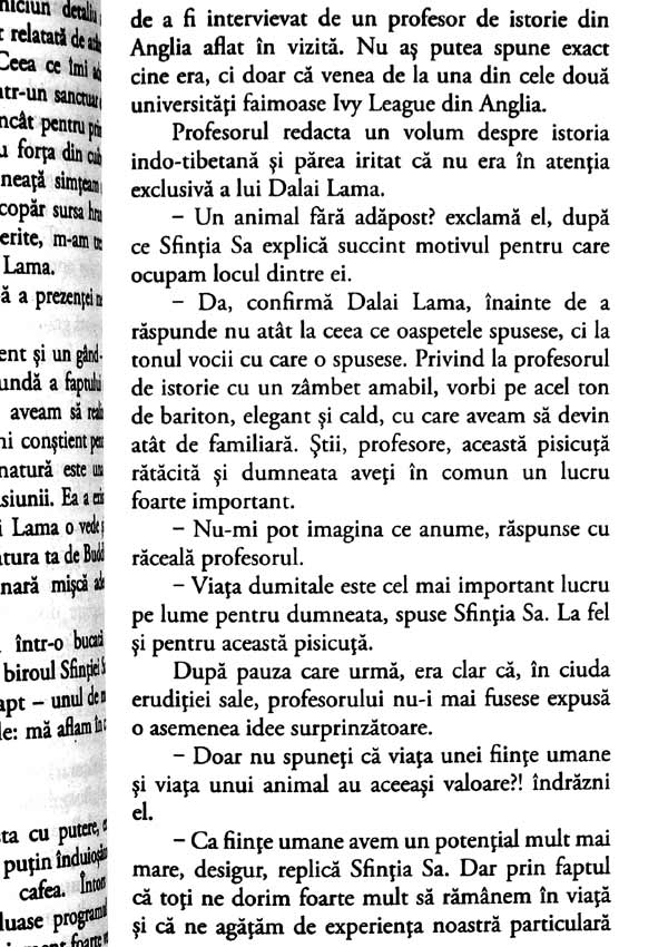 Pisica lui Dalai Lama - David Michie