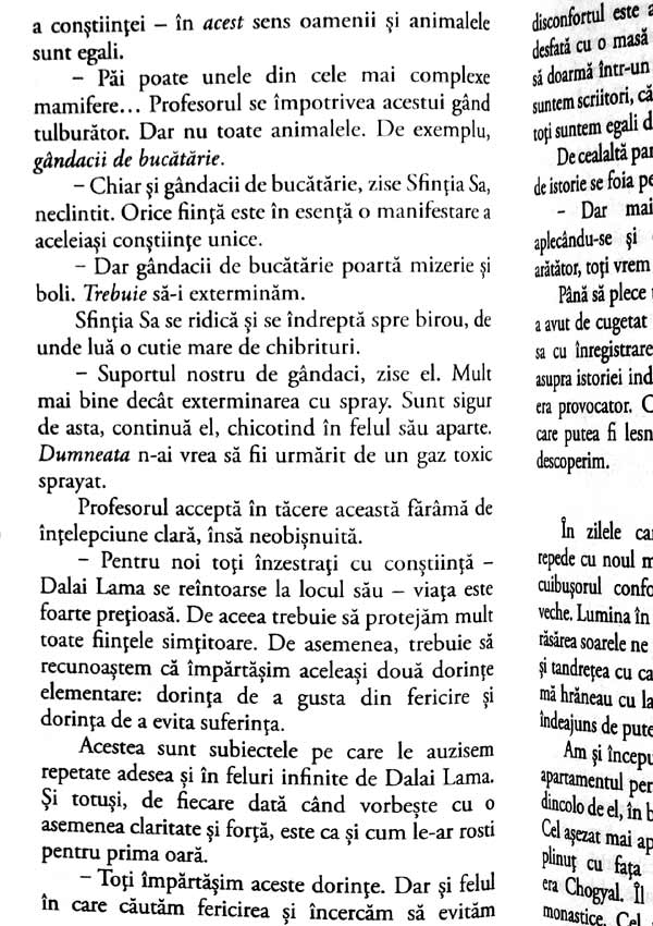 Pisica lui Dalai Lama - David Michie