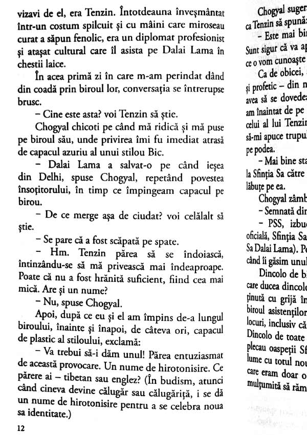 Pisica lui Dalai Lama - David Michie