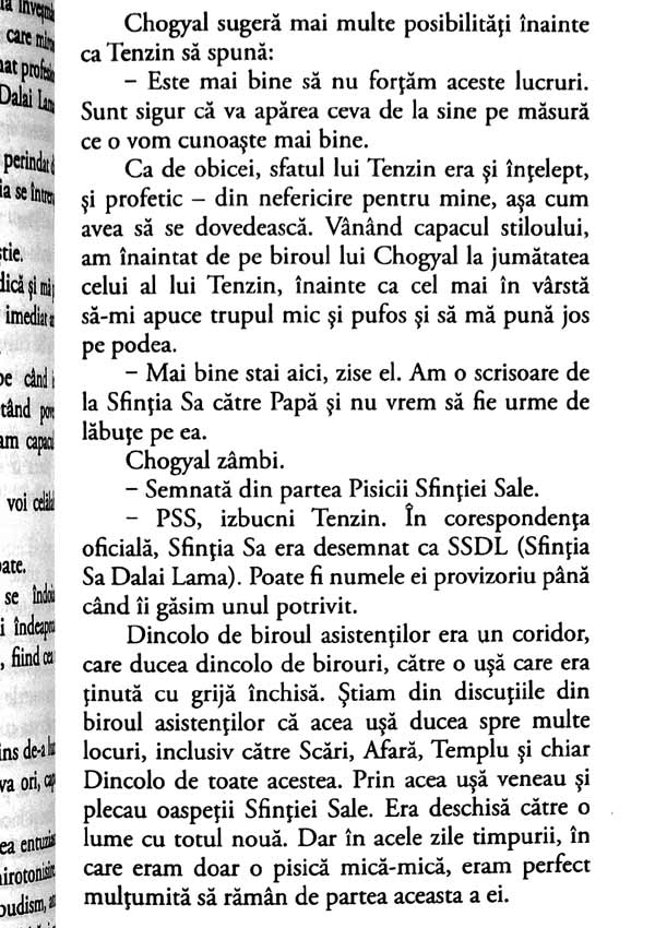 Pisica lui Dalai Lama - David Michie