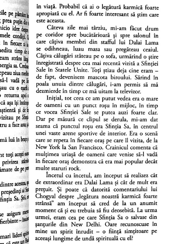 Pisica lui Dalai Lama - David Michie