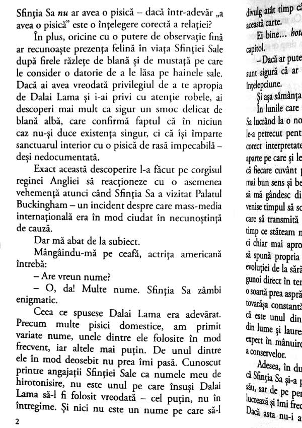 Pisica lui Dalai Lama - David Michie