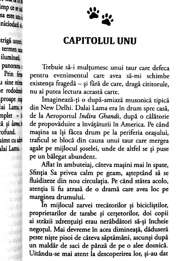 Pisica lui Dalai Lama - David Michie